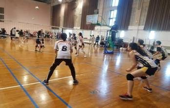 k1体育客户端