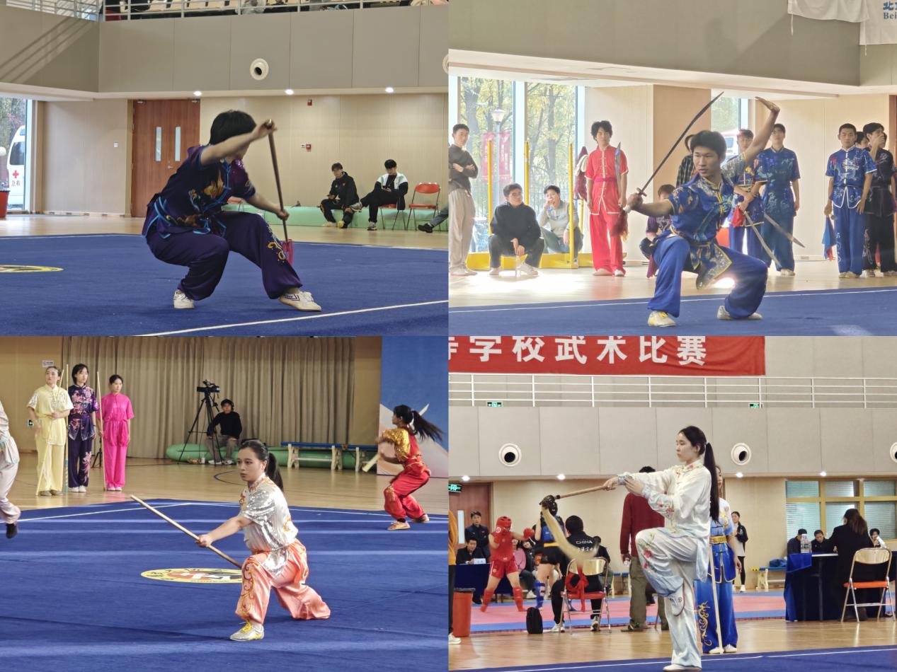 k1体育官方指定端